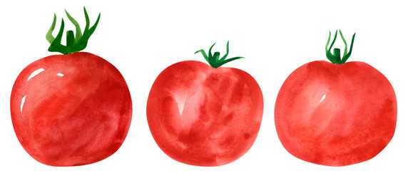 Set of different vegetables, hand drawn watercolor illustration. Tomato. Can be used for menu and recipe design.