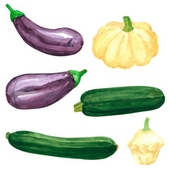 Set of different vegetables, hand drawn watercolor illustration. Eggplant, aubergine, squash. Can be used for menu and recipe design.