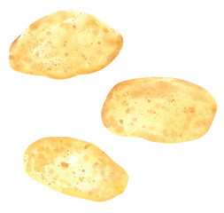 Set of different vegetables, hand drawn watercolor illustration. Potato. Can be used for menu and recipe design.