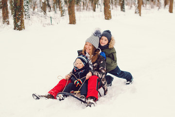 Fototapeta na wymiar Happy family driving sled on the snow. Mother and her sons having fun in winter park. Winter and christmas holidays.