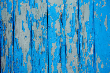 Fototapeta na wymiar wooden vertical boards with cracked old blue paint for background