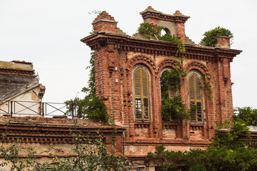 Ruined overgrown house.