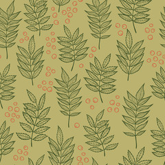 Rowan leaves. Hand drawn Vector seamless pattern.