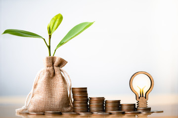 Coins in sack, Light bulb and small plant tree. Pension fund, 401K, Passive income. savings and...