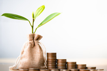 Coins in sack and small plant tree. Pension fund, 401K, Passive income. savings and making money. Investment and retirement. Business investment growth concept. Risk management.