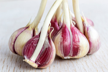 A bunch of garlic on a white background close-up.