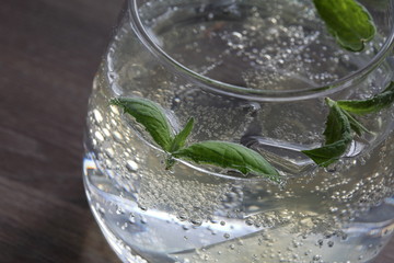 Refreshing drink with gas bubbles. Nalit in a transparent glass. It laid crushed ice. Decorated with mint leaves.