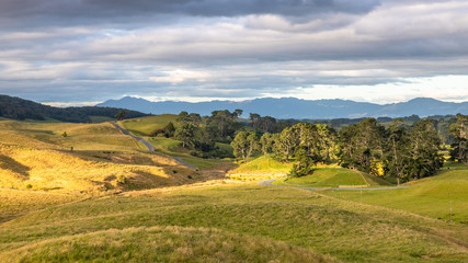 Fototapeta na wymiar sunset landscape New Zealand north island