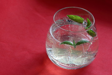 Refreshing drink with gas bubbles. Nalit in a transparent glass. It laid crushed ice. Decorated with mint leaves.