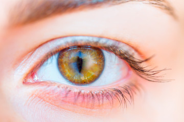 The eyes of a girl in the form of cat eye
