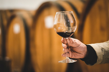 Wine tasting at the winery. Male hand holding a glass of red wine on the background of wine barrels. Selective focus