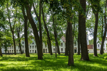 Fototapeta na wymiar Bruges, Flanders, Belgium - June 17, 2019: Enclosed central park of Beguinage comes with green lawn and lots of tall dark trunked trees and green foliage hiding the sky, White houses in back.