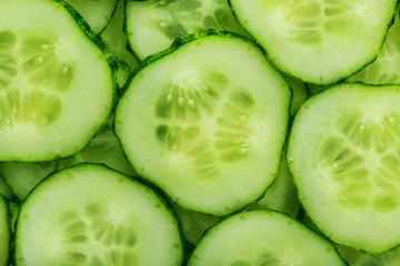 Slices of green fresh cucumber backlit as a textural background