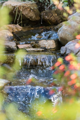Creek water framed by the green flora, flows downstream over rocks during summer time.
