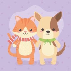 Fototapeta premium cute and little dog with cat characters