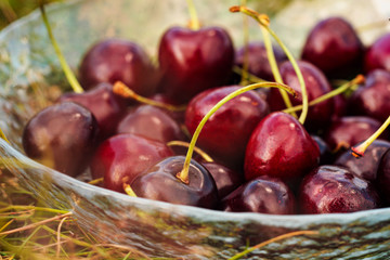 Red ripe sweet cherry in a glass bowl on green grass.