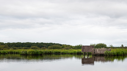 wetland in the natural park of saint lyphard