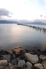 Seagulls standing on wooden logs in the sea during the sunset. Old deck in Puerto Natales, Chile.