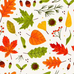 Hand drawn various autumn leaves, rowan, acorn and chestnut. Vector seamless pattern. Colored trendy illustration. Flat design. Stamp texture