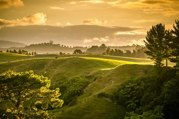 Foto auf Leinwand Sonnenuntergang Landschaft Neuseeland Nordinsel © magann