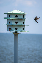 Landing 