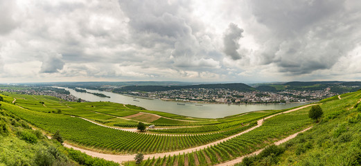 Panorama view over rhine river from Niederwald monument