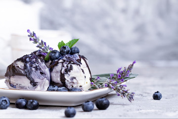 Vanila and blueberry ice cream with lavender on blue background. Fresh vitamin nutrition. Natural vegetarian healthy food. Ice cream decoration. Summer background. Vegetarian product. Nature design.