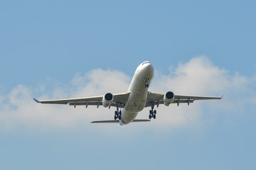 Fototapeta na wymiar Passenger airplane landing at the airport
