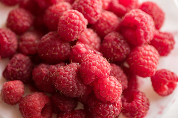 close of fresh organic summer ripe raspberries fileld frame 