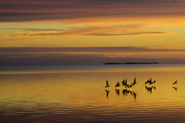 Alba alle Everglades