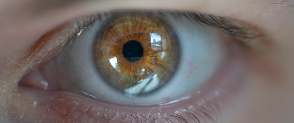 closeup of an eye