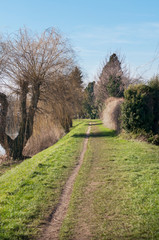 Fototapeta na wymiar A trail along the canal in the park