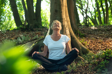 Experience the forest while bathing in the forest (Shinrin Yoku) with all her senses. A 50 year old...