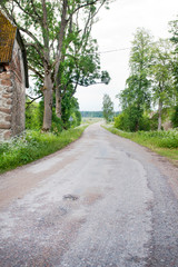 Rural road with trees at the edges
