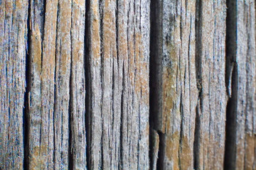 Obraz premium Wooden texture of the old board.