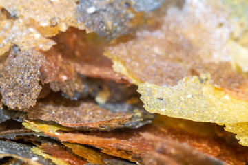 closeup of tropical fish flakes 