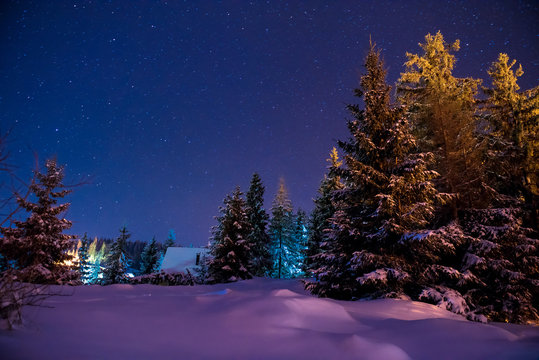 Beautiful winter night landscape