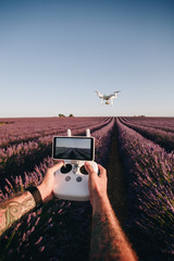 Vertical social media story pov photo of man with arm tattoos hold camera drone remote control in hands, makes footage of beautiful inspiring lavender fields at sunrise. travel wanderlust blogger