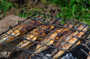 The mackerel fish lies on the grill and is cooked over an open fire. Close-up