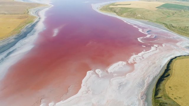 Breathtaking aerial view of unusual pink lake surrounded by green meadows, colors of nature. Shot. Natural reservoir full of algae with red pigments.