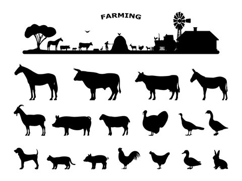 Set silhouettes domestic farm animals