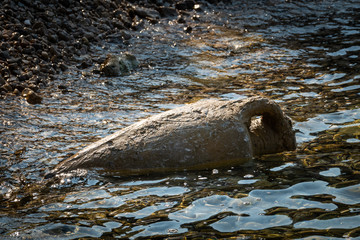 old roman amphora lying in the water