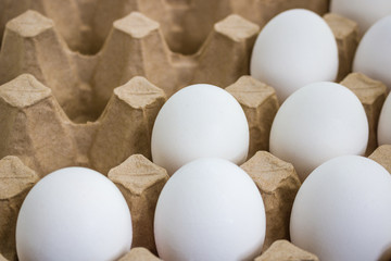 organic eggs in carton box close up