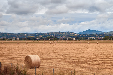 europe, nature, Italy