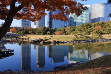 Autumn Tokyo