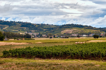 europe, nature, Italy