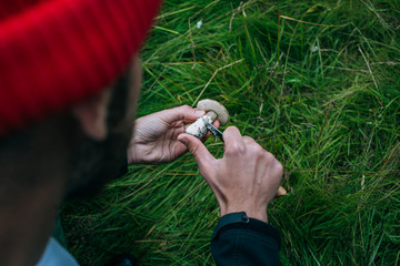 Traveller or hiker picks up wild mushrooms from forest or field, cleans them using camping pocket knife. Performs nature survival skills and prepares meal from scratch using organic ingridients