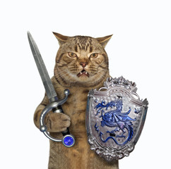 The cat warrior holds a shield with a dragon and a sword with a sapphire. White background....