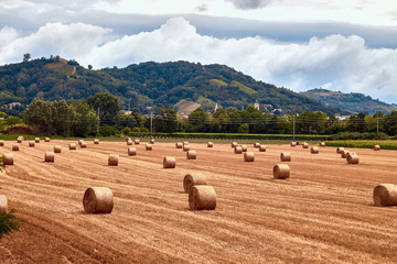 europe, nature, Italy
