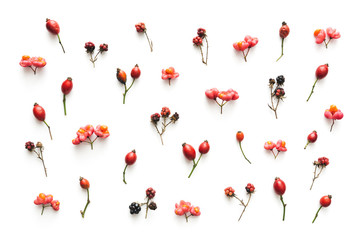 Autumn Pattern With Red Berries